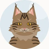 Maine coon