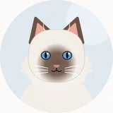 Ragdoll